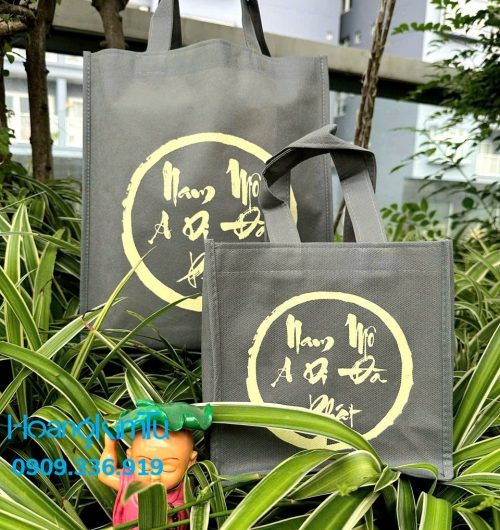 TÚI VẢI KHÔNG DỆT – DÀNH CHO CÁC BUỔI NGHE THUYẾT GIẢNG